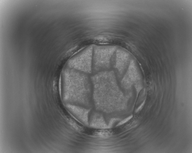 X0000066020466200603312053