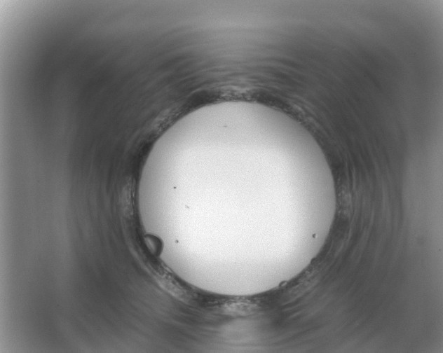 X0000066020468200603312053