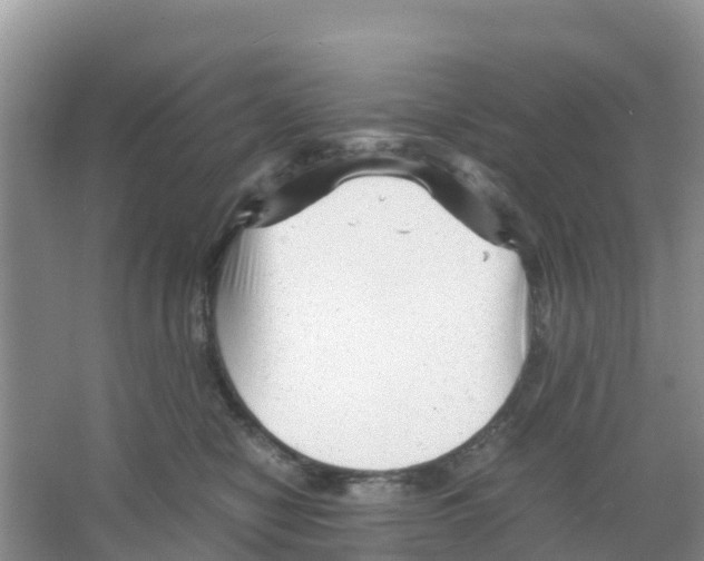 X0000066020470200603312053