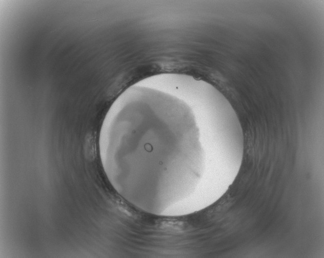 X0000066020471200603312053