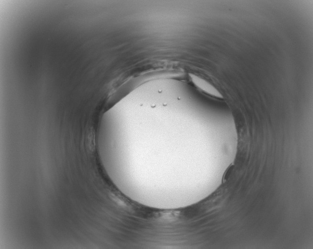 X0000066020474200603312054