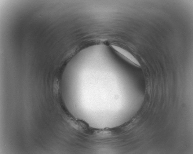 X0000066020476200603312054