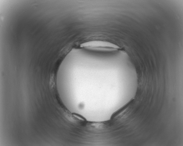 X0000066020478200603312054