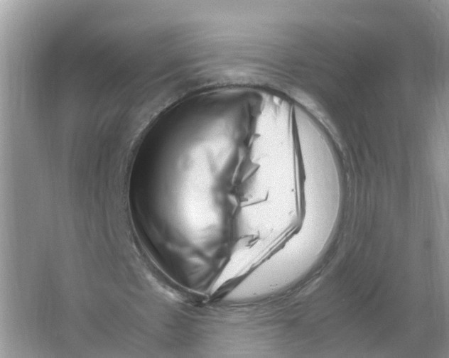 X0000066020481200603312053