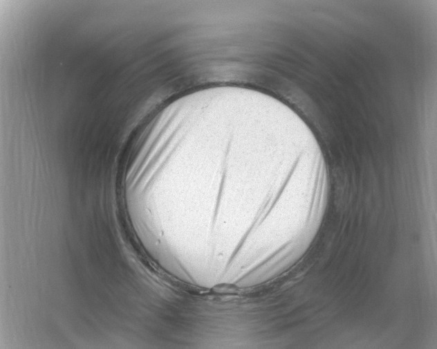 X0000066020482200603312053