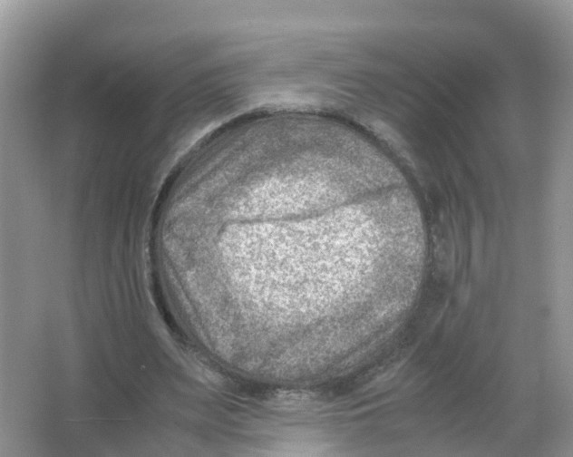 X0000066020487200603312053