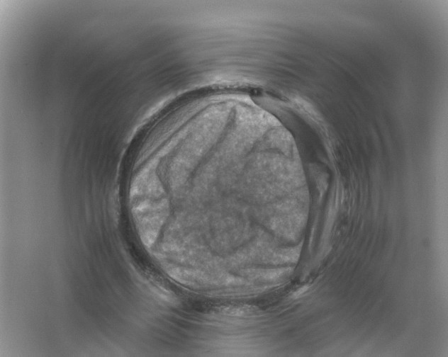 X0000066020488200603312053