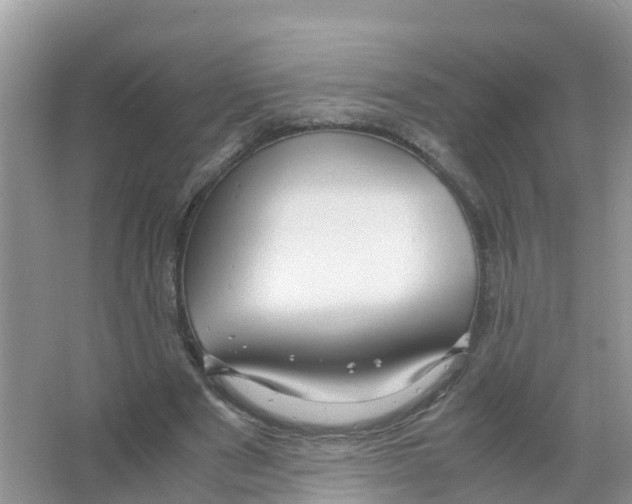 X0000066020489200603312053