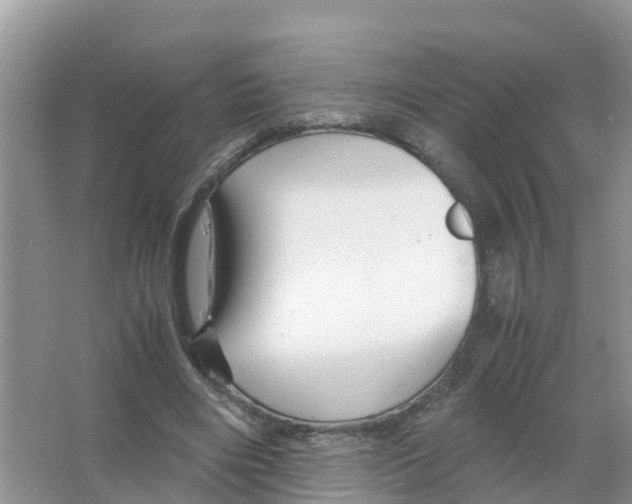 X0000066020490200603312053