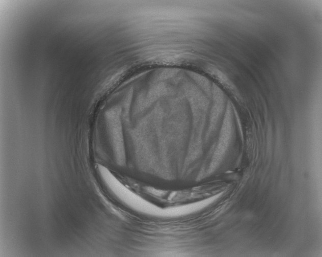 X0000066020493200603312053