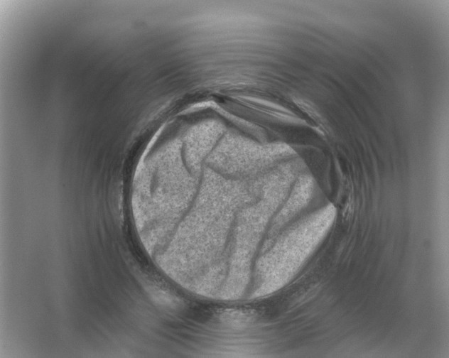 X0000066020494200603312053