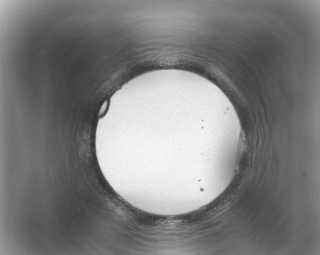 X0000066020497200603312053