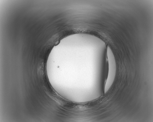 X0000066020498200603312052