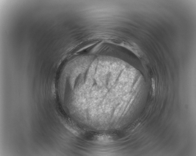 X0000066020500200603312052