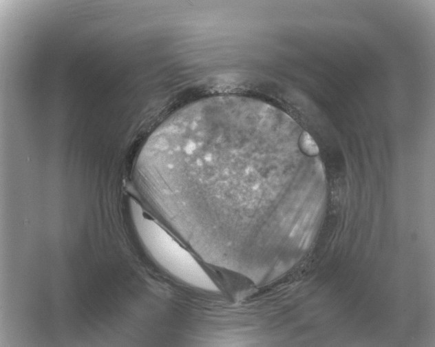 X0000066020503200603312052