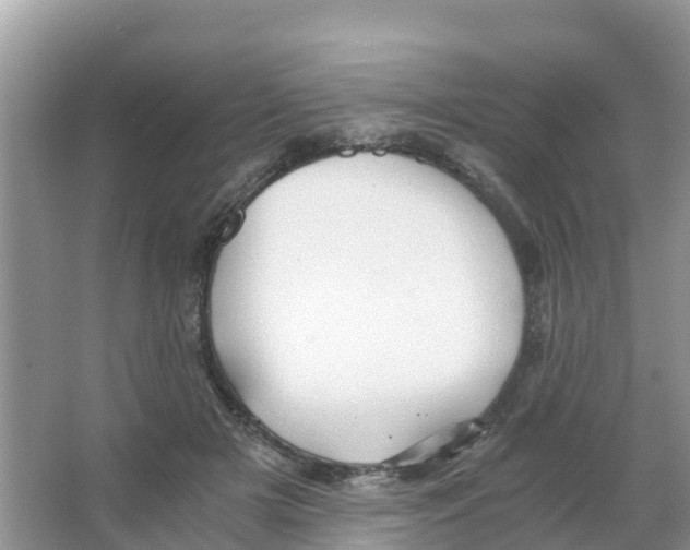 X0000066020505200603312052