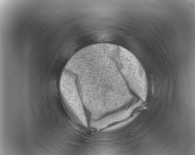 X0000066020506200603312052