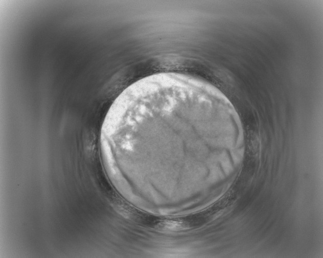 X0000066020507200603312052