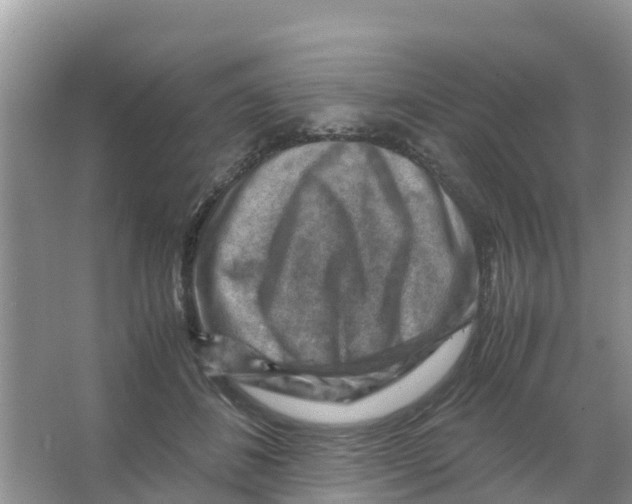 X0000066020508200603312052