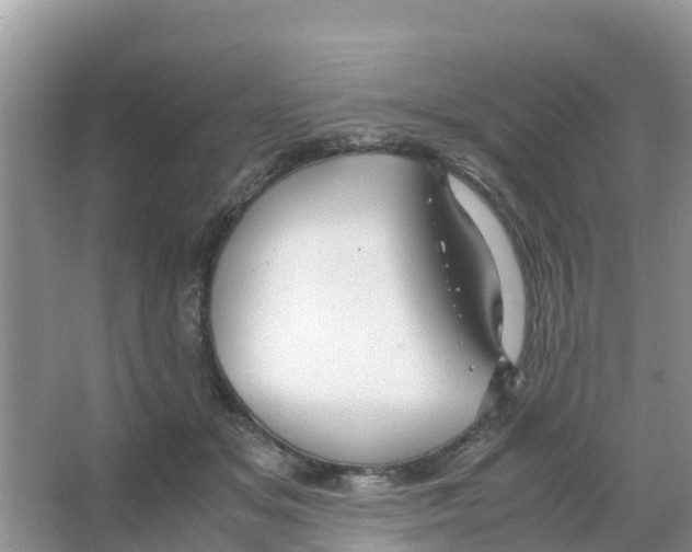 X0000066020509200603312052