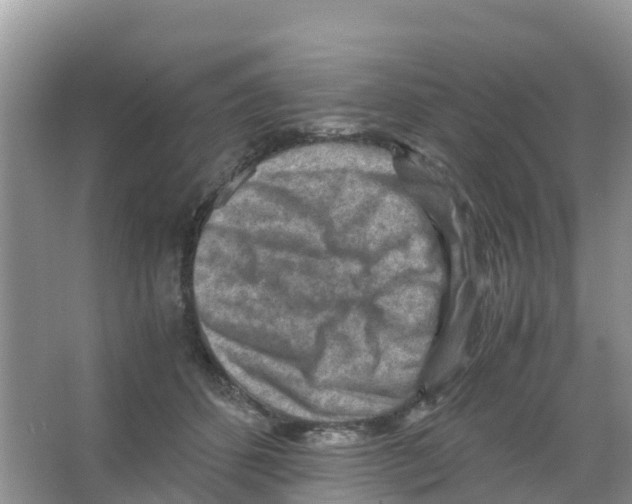 X0000066020512200603312052