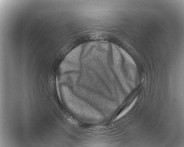 X0000066020513200603312052