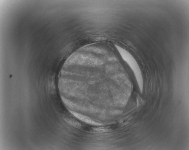 X0000066020516200603312052