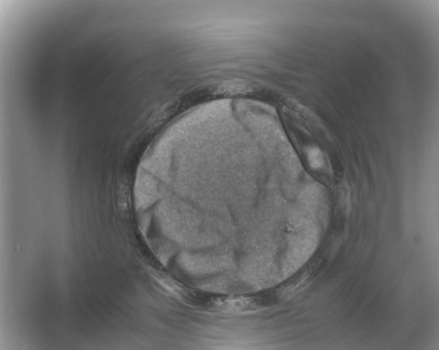 X0000066020517200603312052