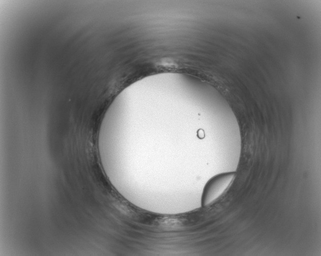 X0000066020518200603312052