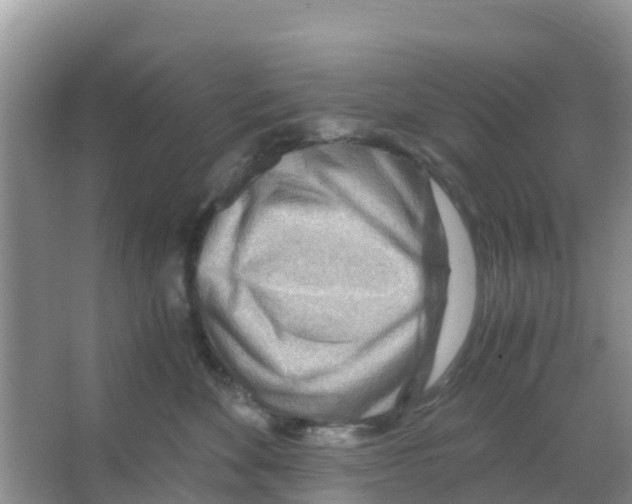 X0000066020524200603312052