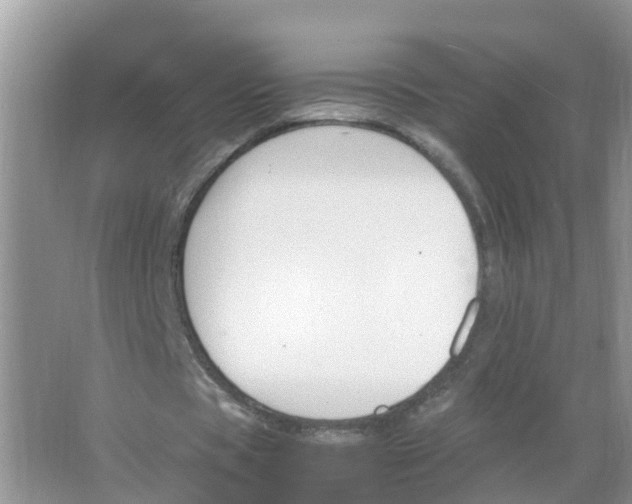 X0000066020529200603312051