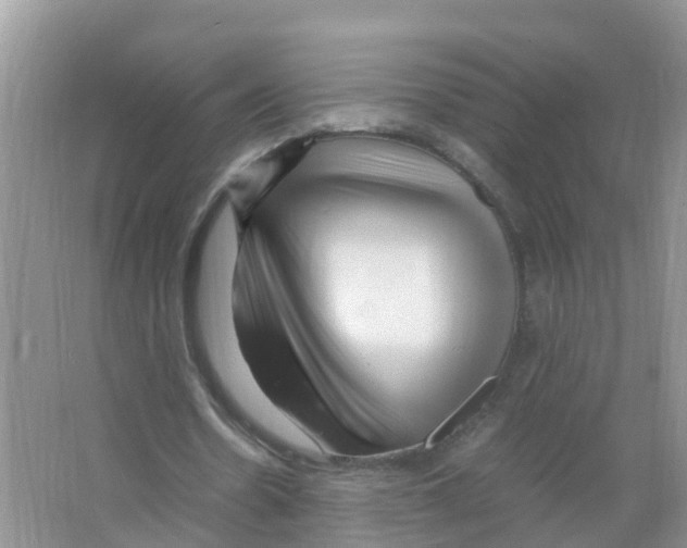 X0000066020530200603312051