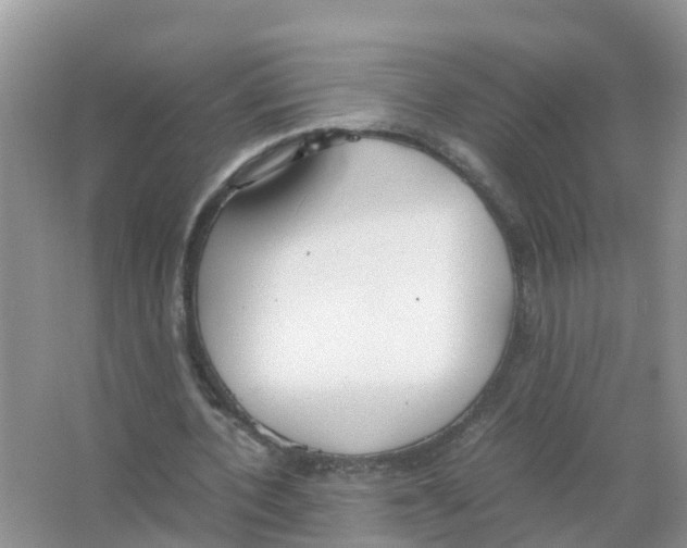 X0000066020532200603312051