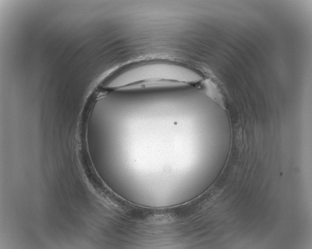 X0000066020536200603312051