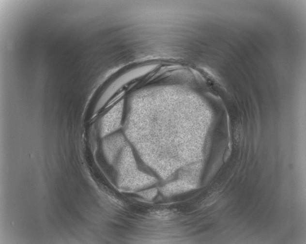 X0000066020540200603312051