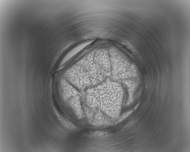 X0000066020542200603312051