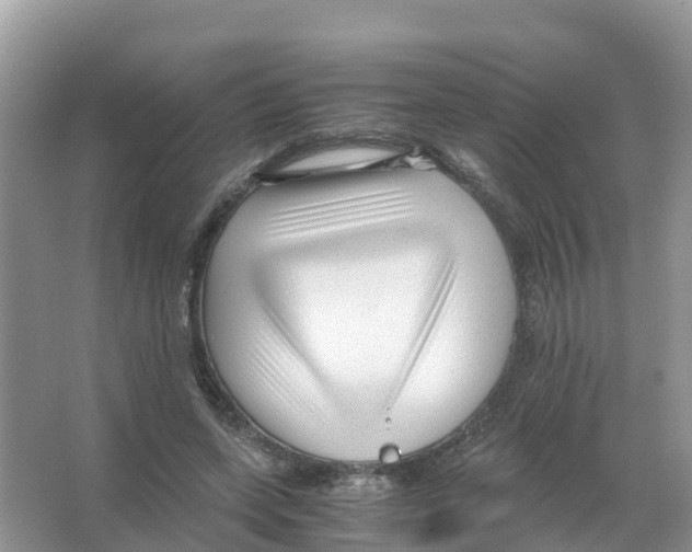 X0000066020543200603312051