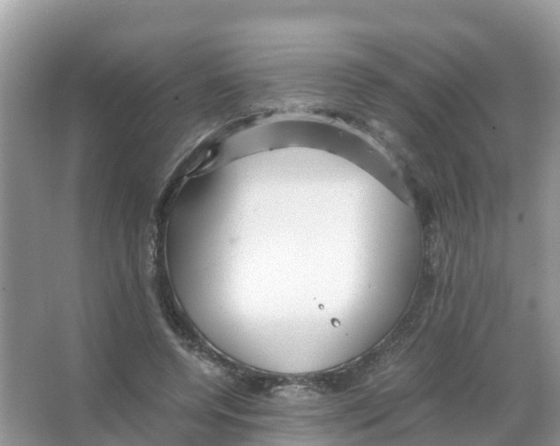 X0000066020544200603312051