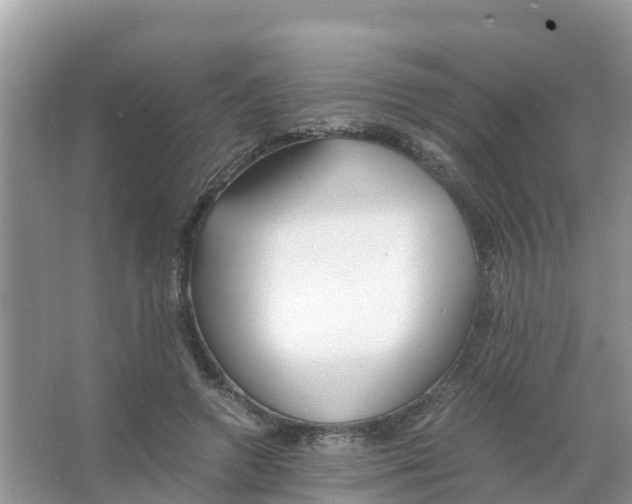 X0000066020546200603312051