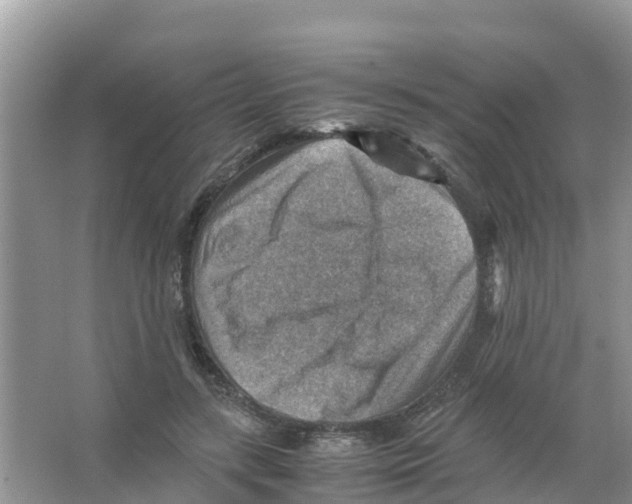 X0000066020547200603312051