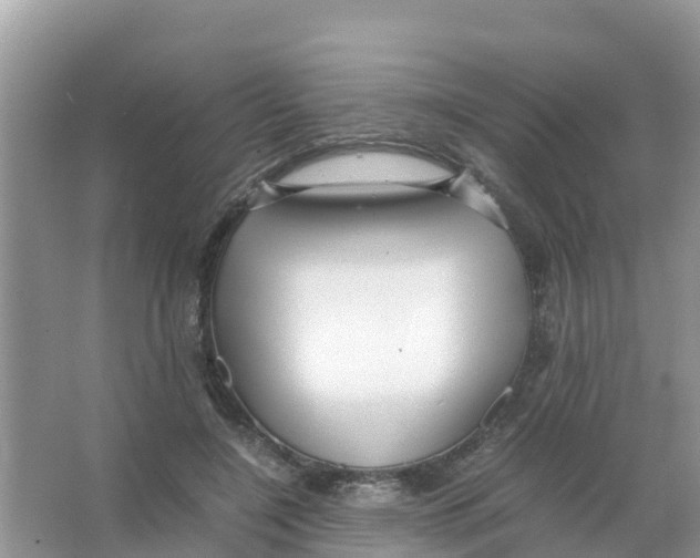 X0000066020548200603312052