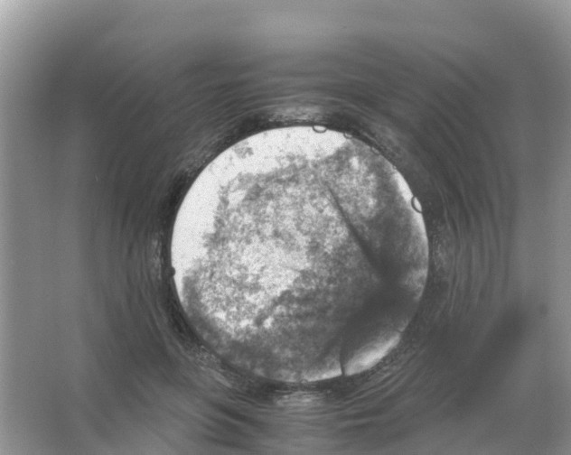 X0000066020551200603312052