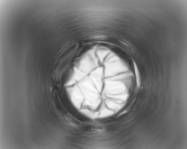 X0000066020552200603312052