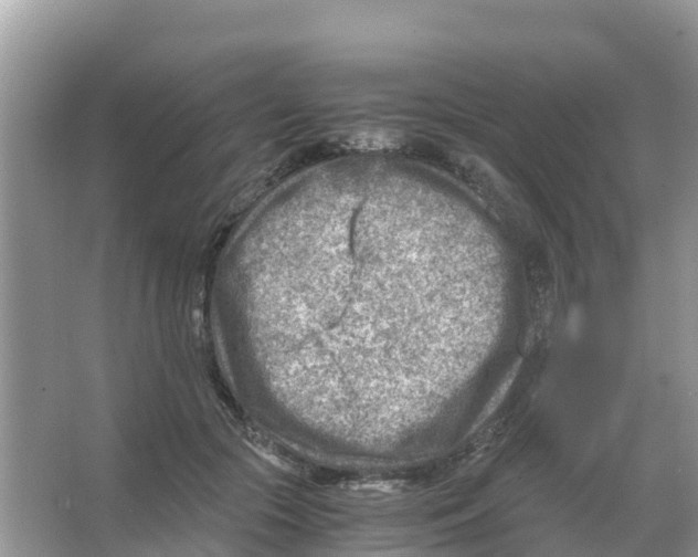 X0000066020553200603312052