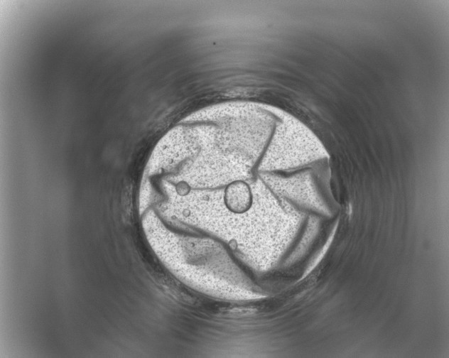 X0000066020554200603312052