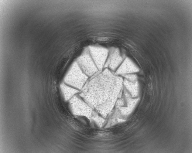 X0000066020555200603312052