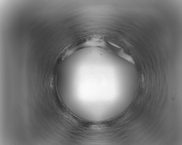 X0000066020556200603312052