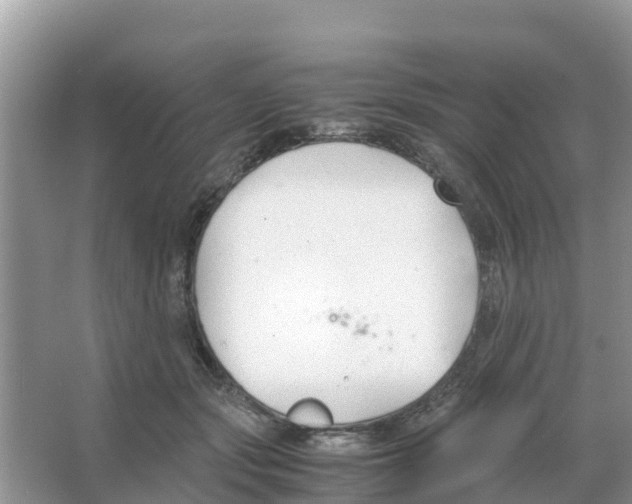 X0000066020557200603312052