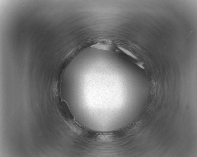 X0000066020560200603312052