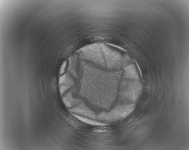 X0000066020563200603312052